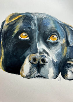 468058643_122113211672420029_8634697589405181593_n