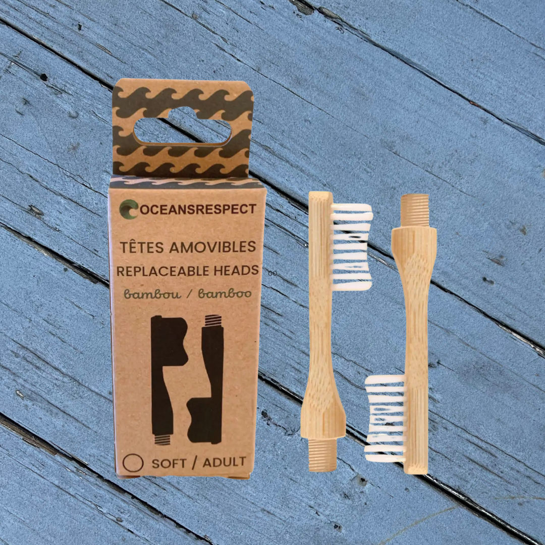 Toothbrush Head