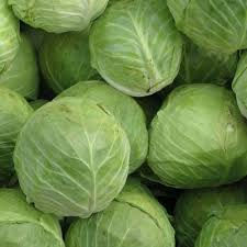 Thumbnail: CABBAGE (REPOLLO)