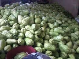 Thumbnail: CHAYOTE  (BAGUIO SAYOTE)