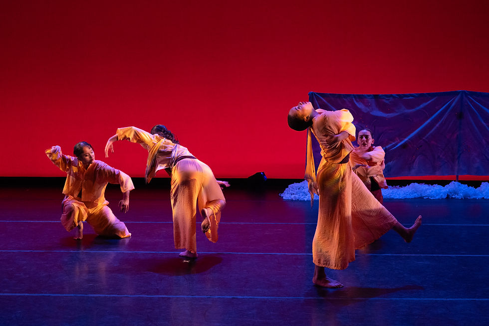 Review: pateldanceworks' "wild light"