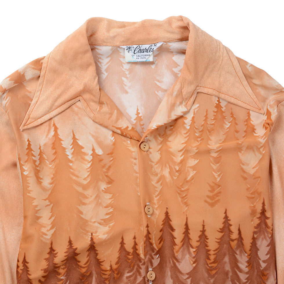 サムネイル： PATTERNED ACETATE SHIRT
