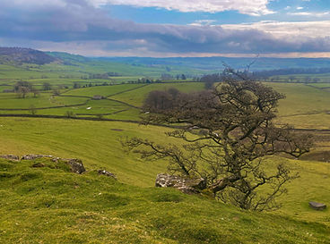 The Yorkshire Dales view