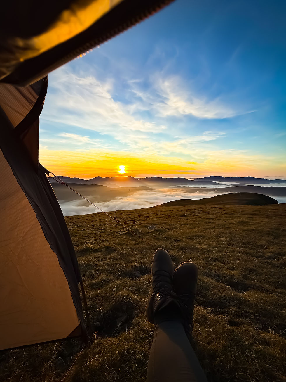 lifesystems solo peak tent