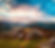 IMG_2315 (1).jpeg