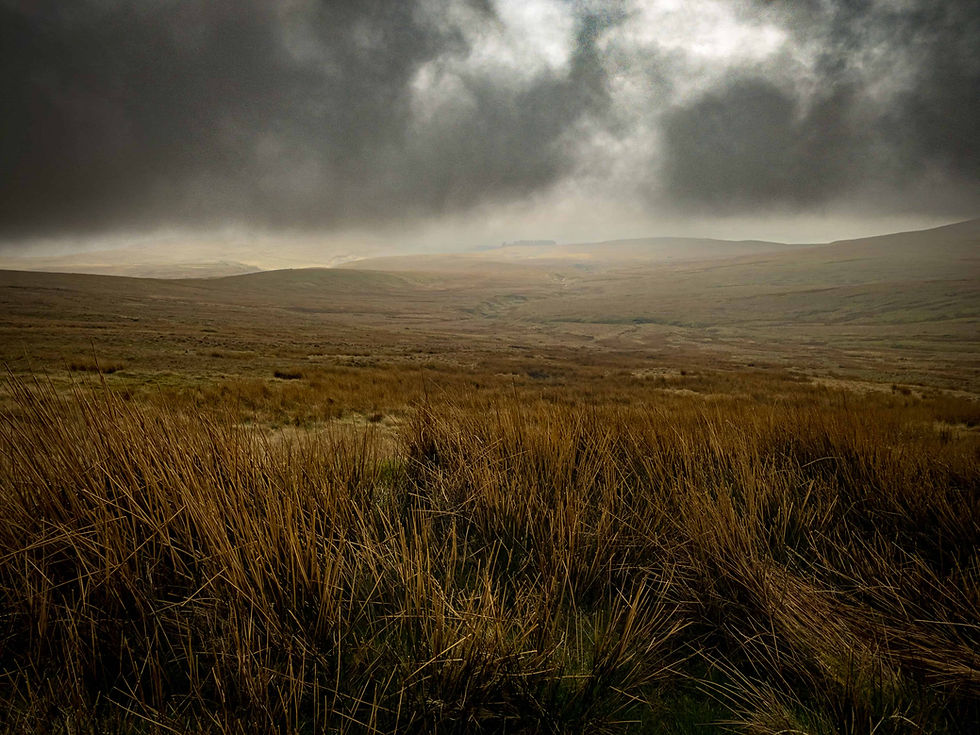 a view from Ingleborough