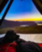 A dog Wild Camping in The Lake District