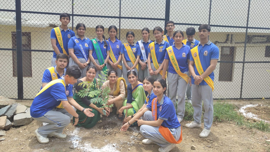 गुरुकुल इंटरनेशनल सीनियर सेकेंडरी स्कूल में हर्षोल्लास से मनाया गया वन महोत्सव