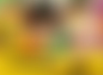 18 से 24 जनवरी तक मनाया जाएगा राष्ट्रीय बालिका दिवस सप्ताह - कृतिका कुलहरी