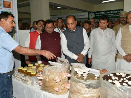 प्राकृतिक खेती खुशहाल किसान योजना के अन्तर्गत 1.71 लाख किसानों ने प्राकृतिक खेती को अपनाया : सीएम