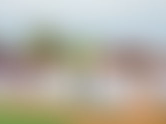 Yoga brings physical and mental discipline: CM