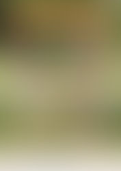 2023 心あたたまる冬を贈る あだちのお歳暮