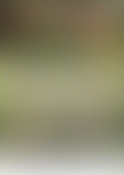 あだち御歳暮フェアスタート!!友の会員様へのご案内は11月14日頃の到着予定です。