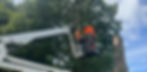 Treescape Mewp Hire