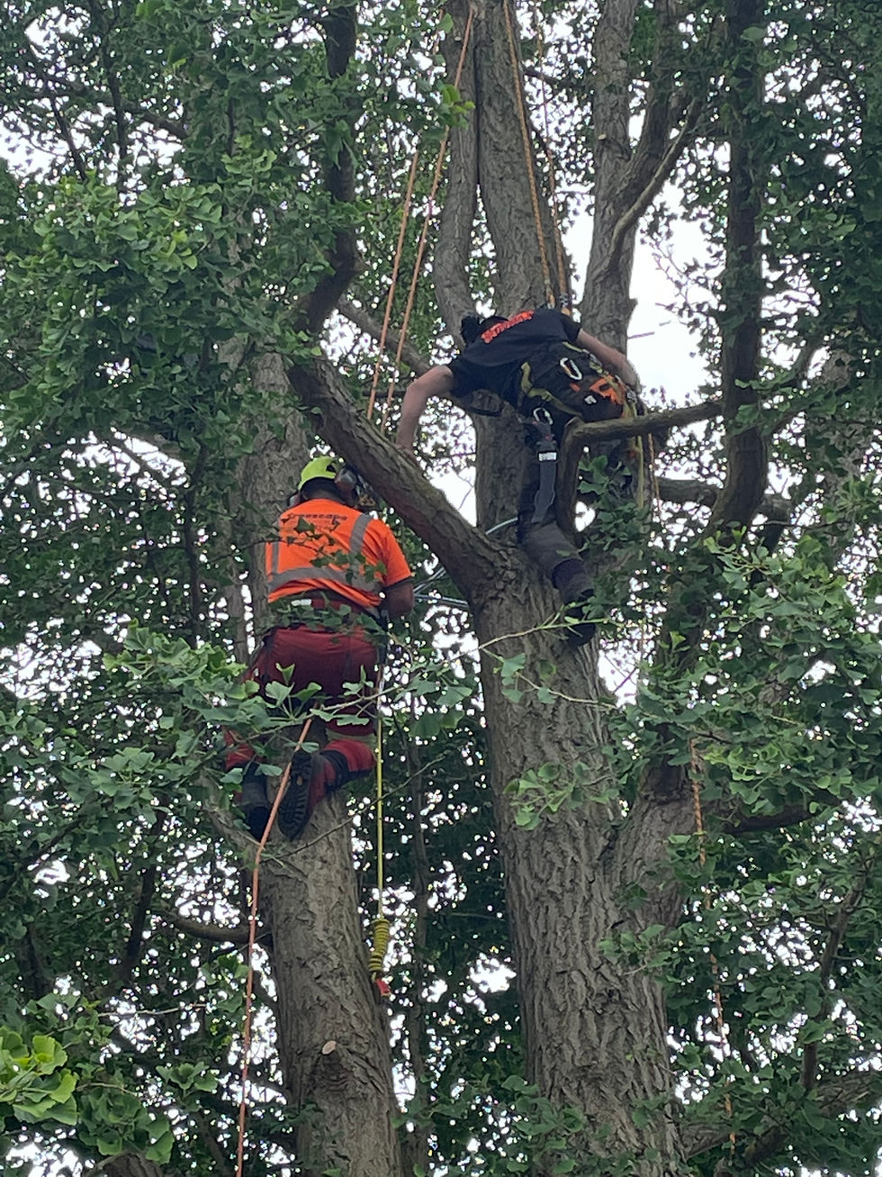 Two of our experienced climbers tackling an emergency call-out in Abergavenny