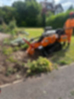 stump grinding