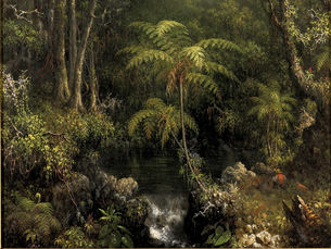 As aventuras para investigar a flora