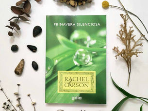 Livro: Primavera Silenciosa