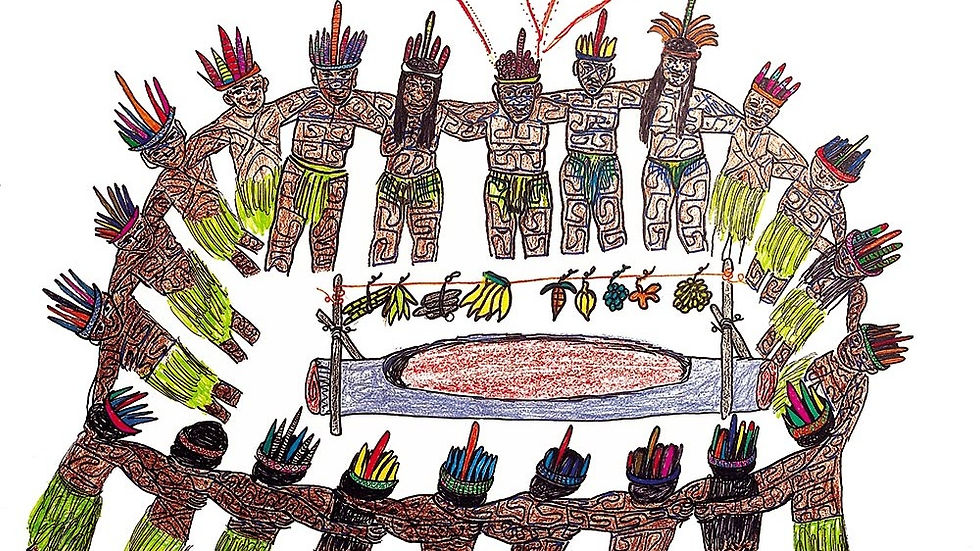 Publicações sobre os povos originários do Brasil