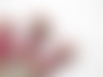 Mini-abacaxi: o ananás ornamental