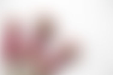 Mini-abacaxi: o ananás ornamental