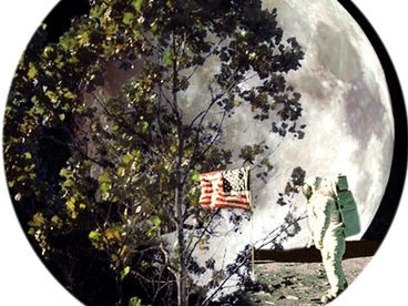Árvores lunares: as sementes que orbitaram a Lua
