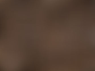 A história do café