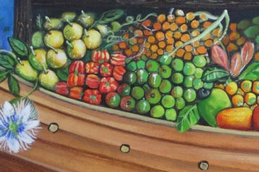 Livro: A arca de Noé das frutas nativas brasileiras