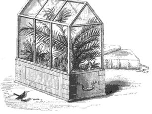 A história do terrário