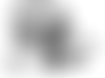 A história do terrário