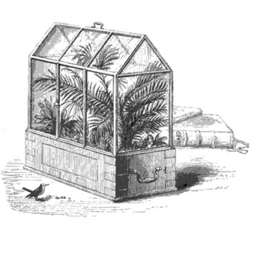 A história do terrário
