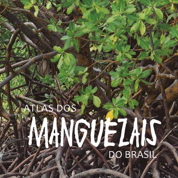 Livro: Atlas dos Manguezais do Brasil