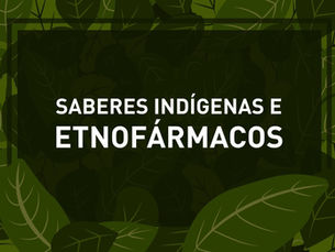 Publicação: Saberes indígenas e etnofármacos