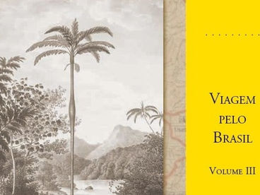 Livro: Viagem pelo Brasil