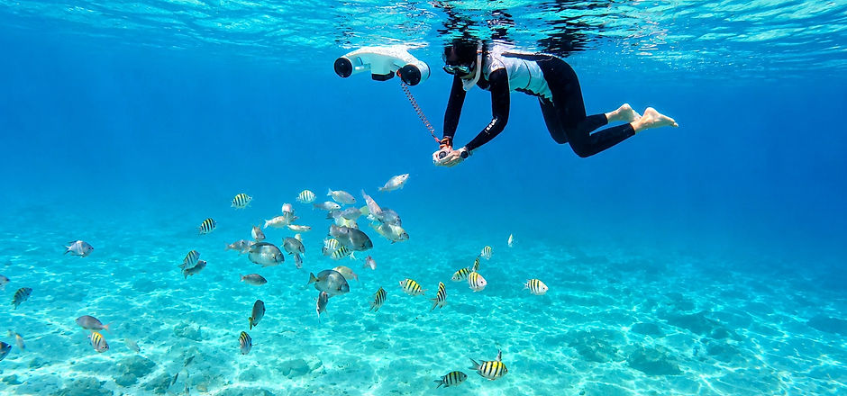 Feeding the fish during a Sea scooter tour