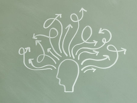brain behaviour