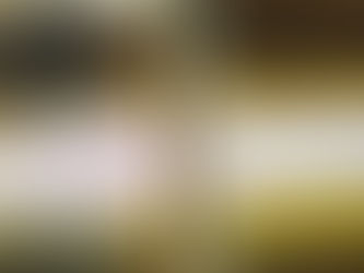 cold forming carbide punch