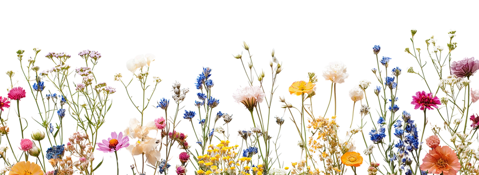 ihaveplants-mix-flower-8895507_1920.png