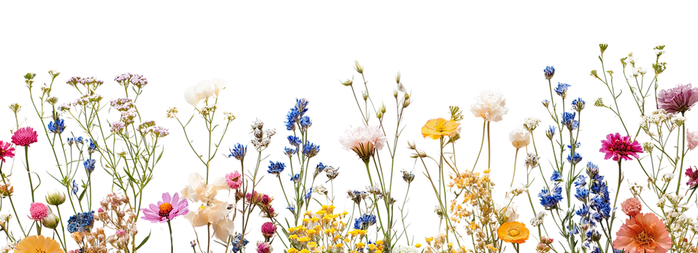 ihaveplants-mix-flower-8895507_1920.png