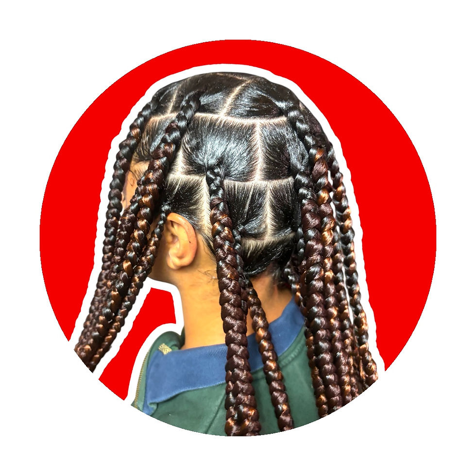 Jumbo Braids by Junia Braids