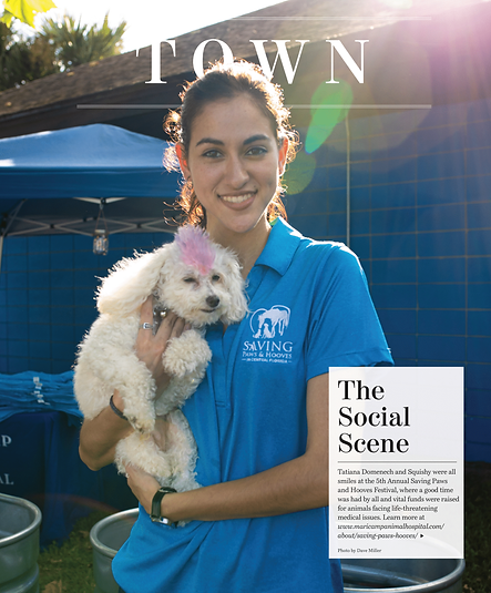 SPAH 5th Annual Festival - Second Articl