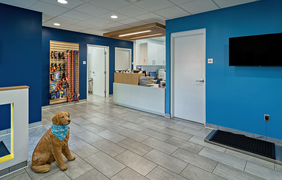 Welsh Contruction Southdale Pet Hospital