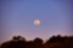 moon.jpg