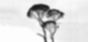 Add a heading (1).png