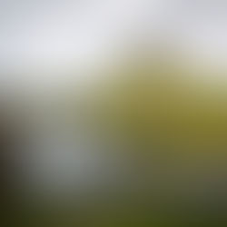 Homily: Feast of the Holy Innocents