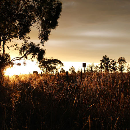 Homily: Feast of Saint Andrew