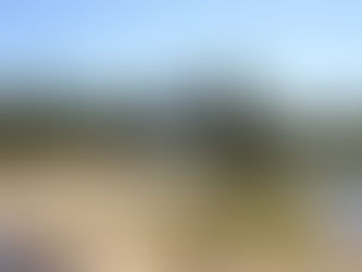 Twenty-Sixth Sunday in Ordinary Time