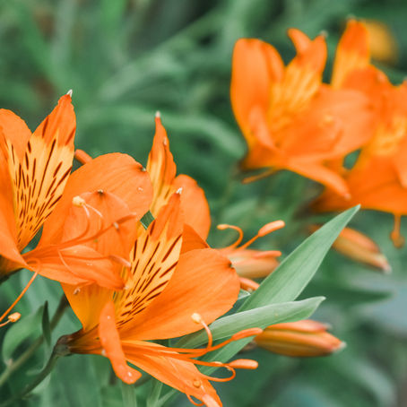 Homily: Thursday after Ash Wednesday