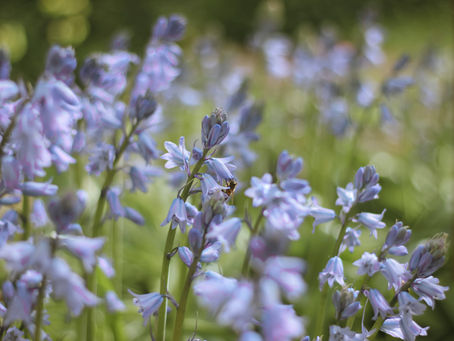 Homily: Feast of the Exaltation of the Holy Cross