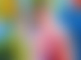 Homily: Memorial of the Presentation of the Blessed Virgin Mary